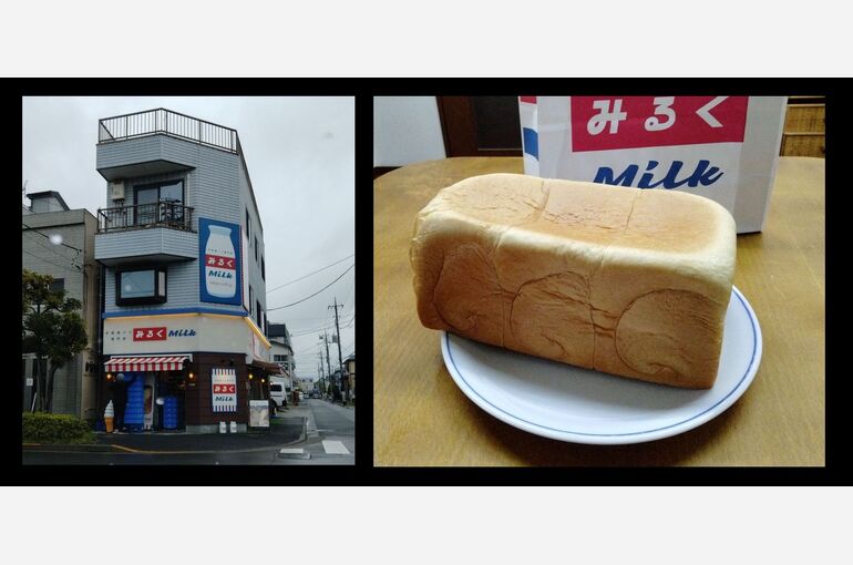 20220524写真3
